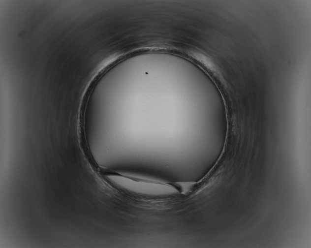 X0000086991229200705071430