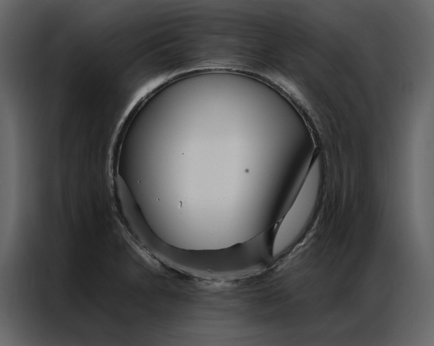 X0000086991230200705071430