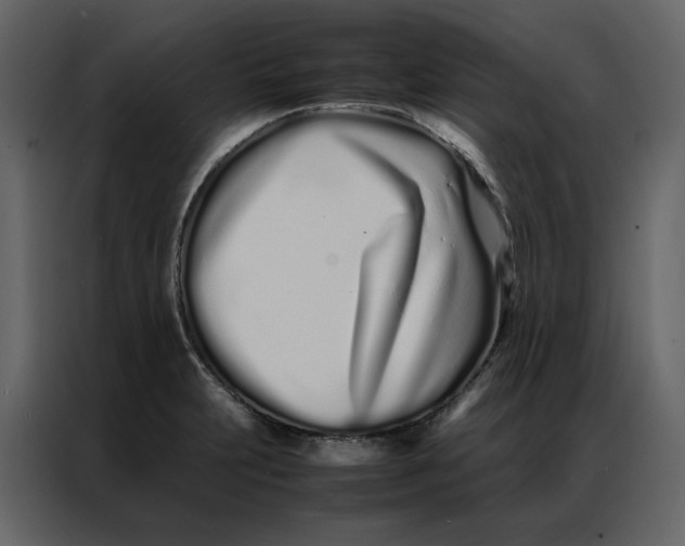 X0000086991231200705071430