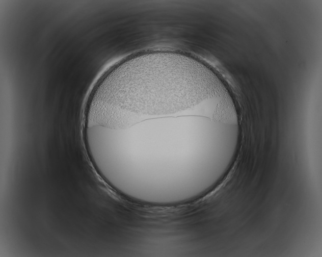 X0000086991232200705071430