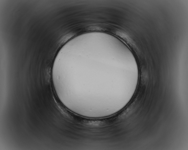 X0000086991233200705071430