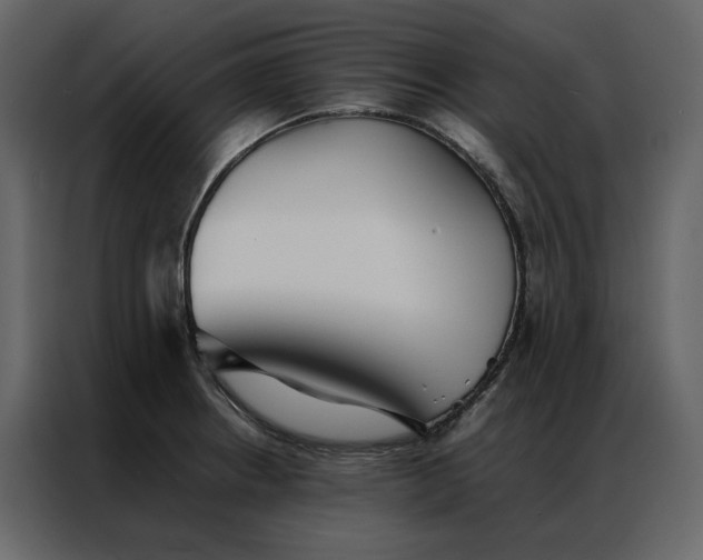 X0000086991234200705071430