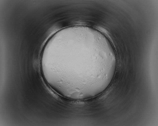 X0000086991235200705071430