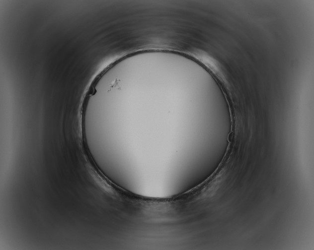 X0000086991238200705071430