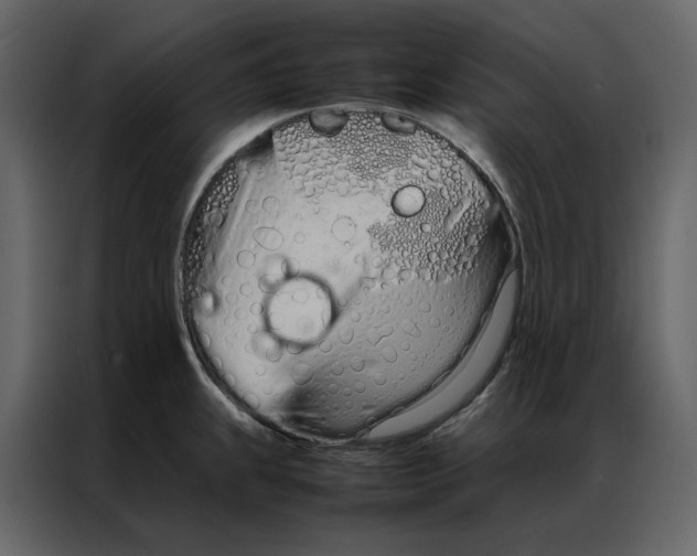 X0000086991239200705071430