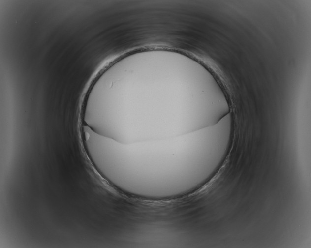 X0000086991240200705071430