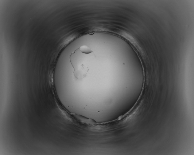 X0000086991241200705071430