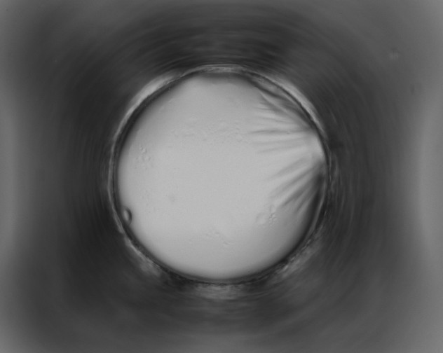 X0000086991245200705071430