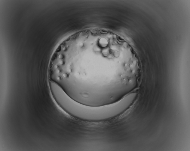 X0000086991247200705071430