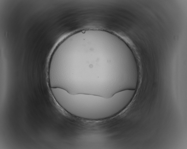 X0000086991248200705071430