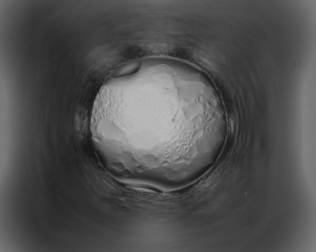 X0000086991251200705071430