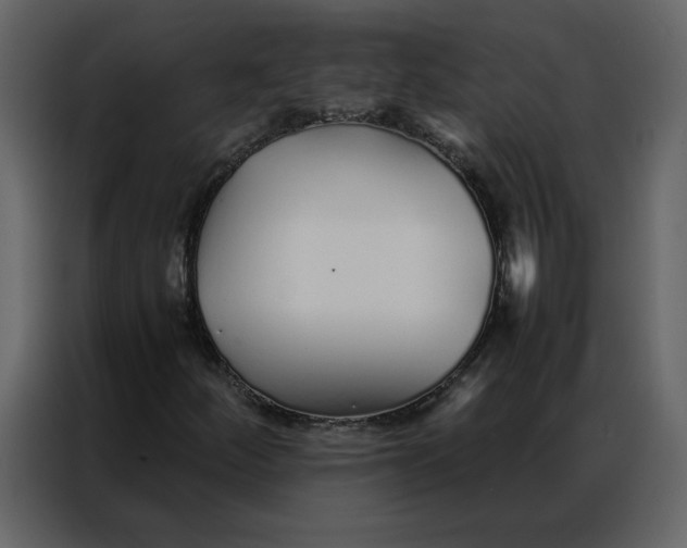 X0000086991252200705071430