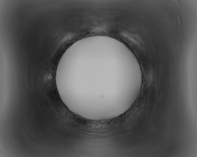 X0000086991254200705071429