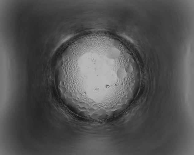 X0000086991255200705071429