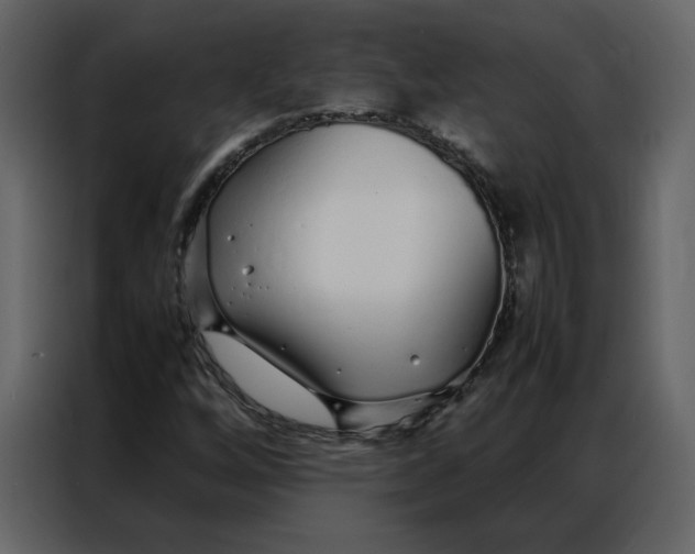 X0000086991256200705071429