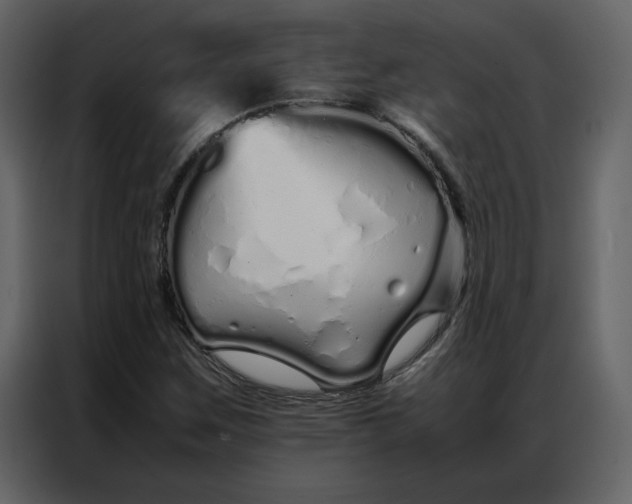 X0000086991259200705071429