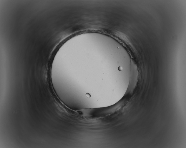 X0000086991260200705071429