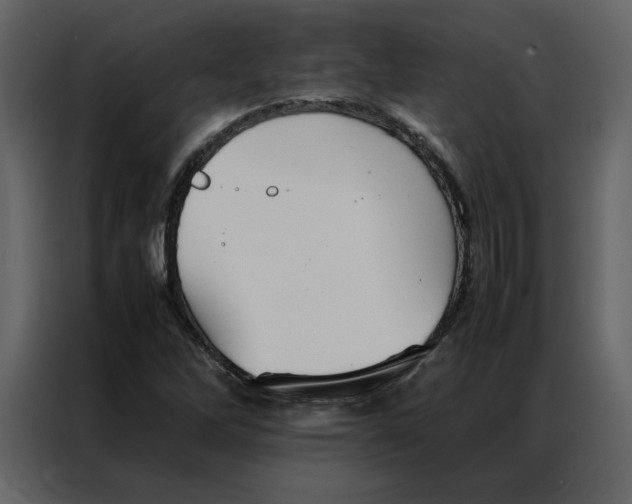 X0000086991262200705071429