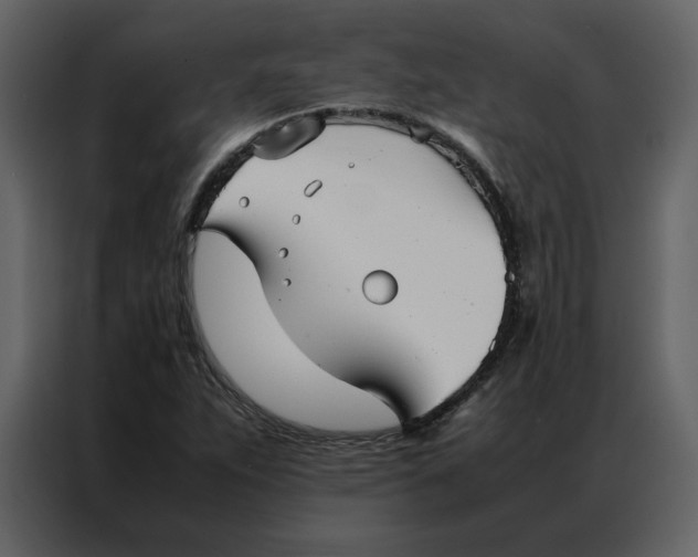 X0000086991263200705071429