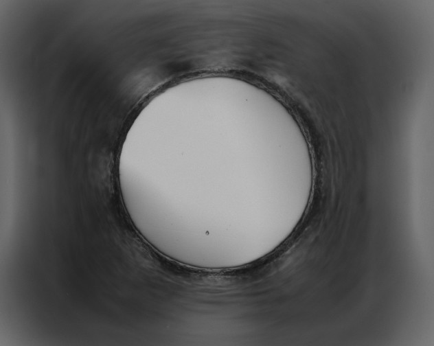 X0000086991265200705071429