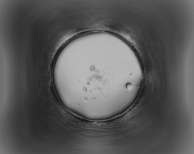 X0000086991271200705071429