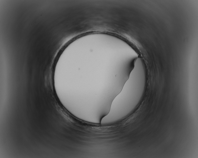 X0000086991272200705071429