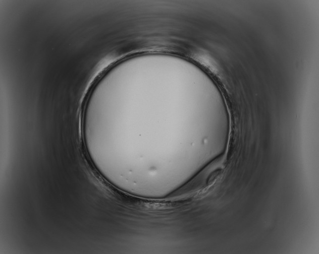 X0000086991275200705071429