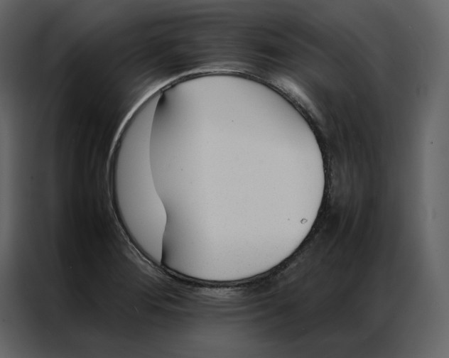 X0000086991276200705071429