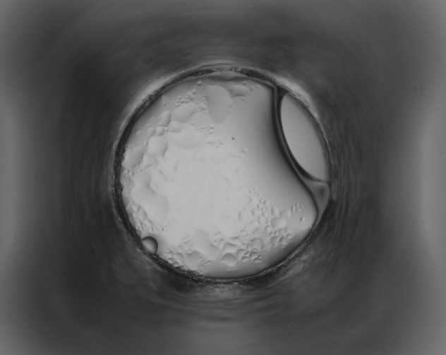 X0000086991279200705071429