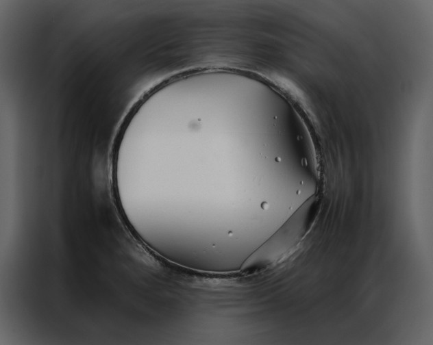 X0000086991280200705071429