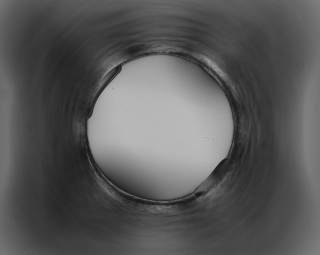 X0000086991281200705071429