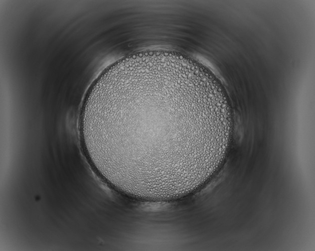 X0000086991282200705071429