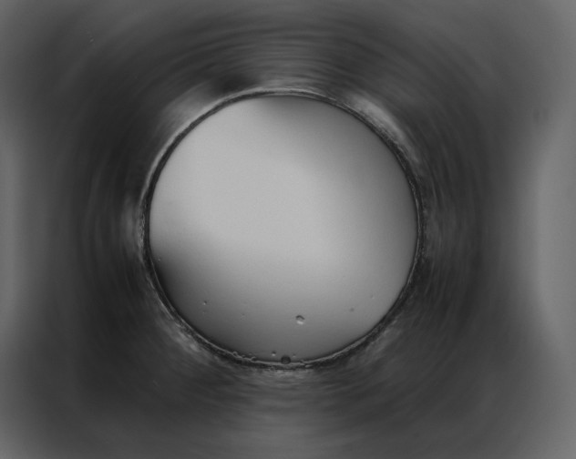 X0000086991284200705071429