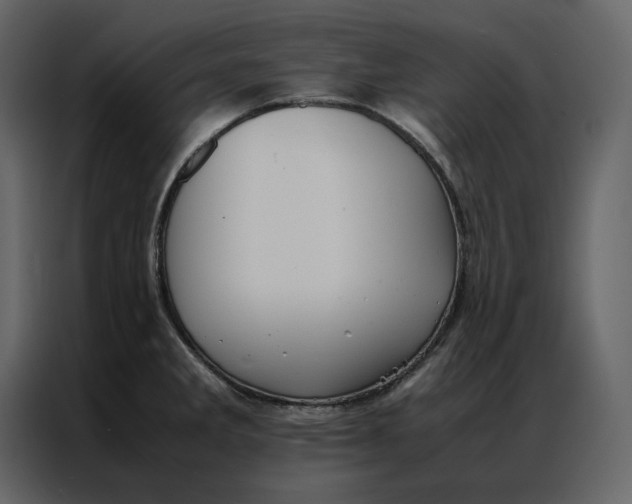 X0000086991285200705071429