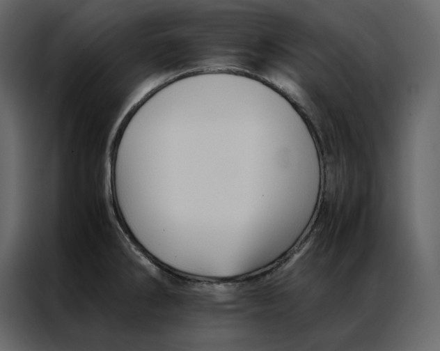 X0000086991286200705071429