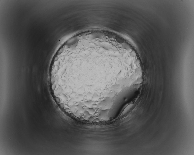 X0000086991287200705071429