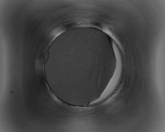 X0000086991289200705071429