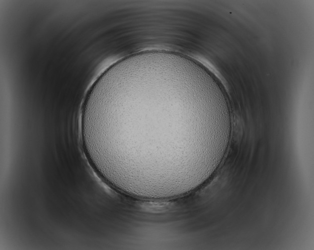 X0000086991290200705071429