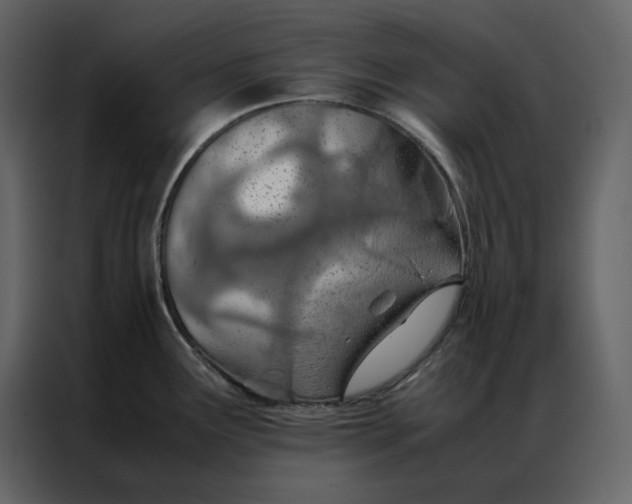 X0000086991291200705071429