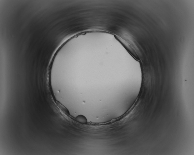 X0000086991292200705071429