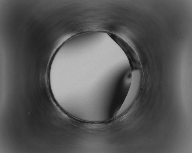 X0000086991293200705071429