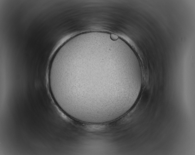 X0000086991294200705071429