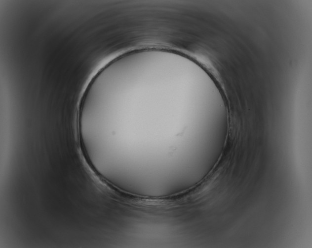 X0000086991295200705071429