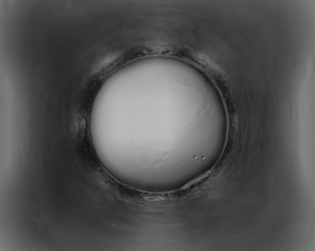 X0000086991302200705071428