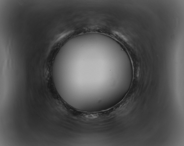 X0000086991303200705071428