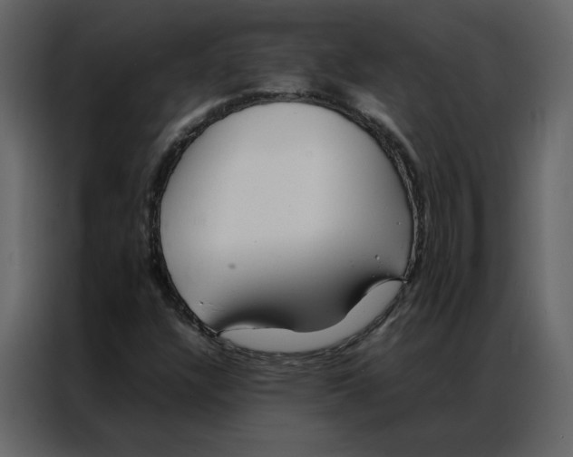 X0000086991304200705071428