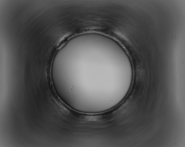 X0000086991305200705071428