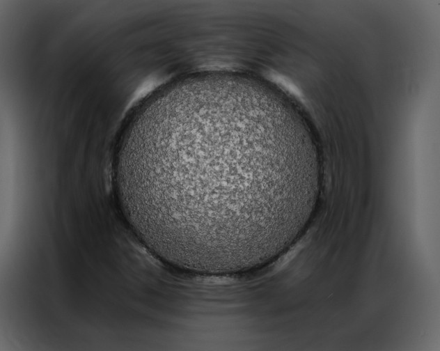 X0000086991306200705071428