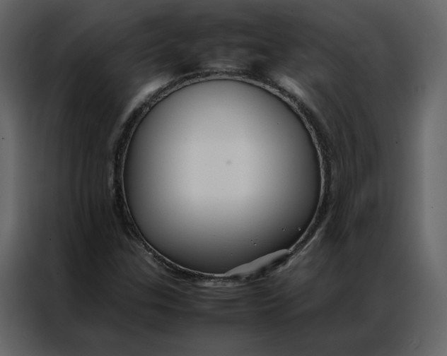 X0000086991307200705071428