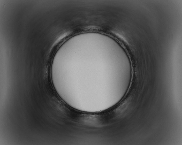 X0000086991309200705071428